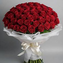 Букет 101 Красная роза Блэк Мэджик в Обозерском