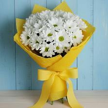 Букет цветов из:  Хризантемы в Обозерском