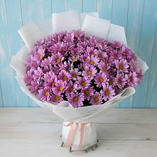 Букет цветов из:  Хризантемы в Обозерском