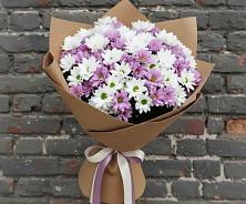 Букет цветов из:  Хризантемы #REPLACE_PRED# Обозерском