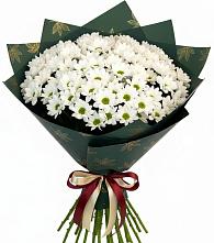 Букет цветов из:  Хризантемы в Обозерском