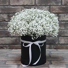 Цветочная композиция из Гипсофила в шляпной коробке в Обозерском