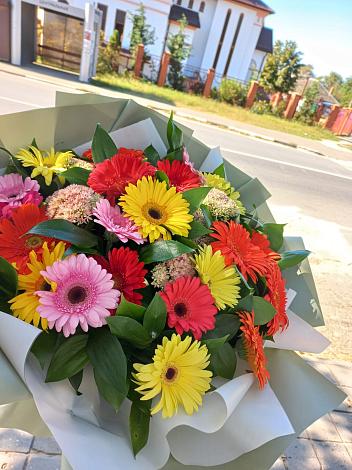 Букет цветов из: Герберы в Обозерском